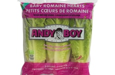 Flavor-Rich Mini Romaine Hearts
