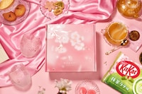 Cozy Springtime Snack Subscriptions Image 2