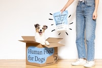 Fresh Food-Inspired Pet Kibbles