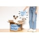 Fresh Food-Inspired Pet Kibbles Image 1