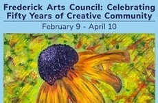 Creative Community-Celebrating Events