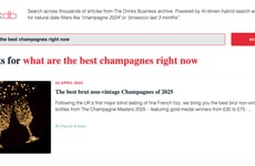 AI-Powered Trade Search Tools