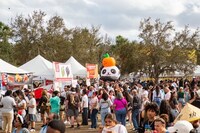 Inaugural Asian Culture Festivals Image 2