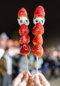 Inaugural Asian Culture Festivals Image 3