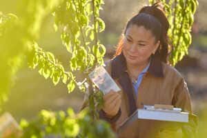 Community-Focused Planting Campaigns Article Thubnail