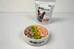 Upcycled Canine Foods Article Thubnail