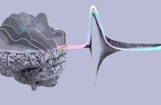 Multi-Model Answer Platforms