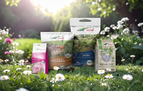 Recycled PE Packaging Films