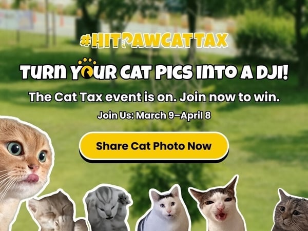 Gamified Cat Tax Campaigns
