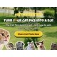 Gamified Cat Tax Campaigns Image 1