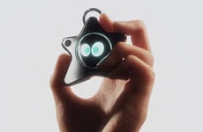 Wearable Digital Pets