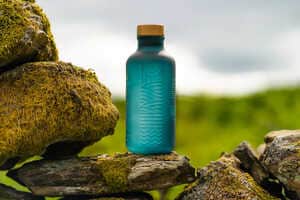 Wild Botanical Gin Bottles Article Thubnail