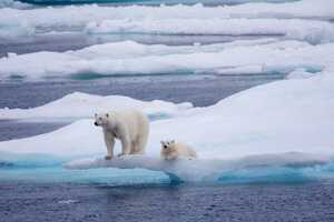 Conscious Arctic Tourism Summits Article Thubnail