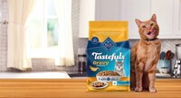 2-in-1 Cat Kibbles