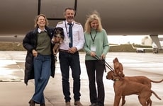 In-Cabin Pet Travel Services