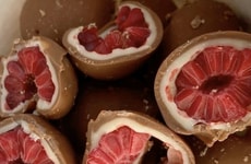 Fruity Protein Chocolate Snacks