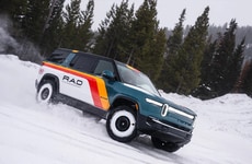 Performance-Focused EV Brands