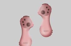 Seahorse-Inspired Controllers