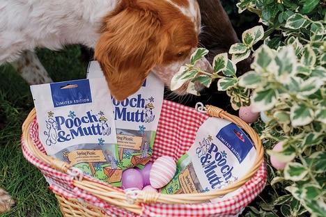 Springtime Dog Treats