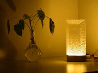 Jellyfish-Like Table Lamps