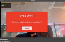 Screen Privacy Monitors