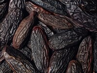 Sustainable Tonka Bean Extracts Image 1