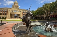 Targeted Startup Incentive Programs