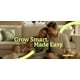 Growth-Focused Baby Care Brands Image 1