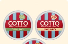 Whipped Cottage Cheese Dips