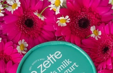 Sheep's Milk Frozen Yogurts