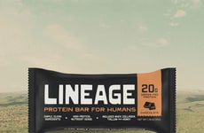 Real-Food Protein Bars