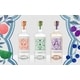 Heritage-Inspired Gin Expressions Image 1