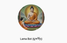 Emotional Support AI Bots