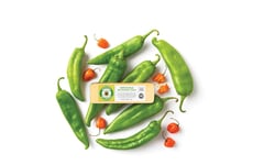 Chili-Infused Award-Winning Cheeses