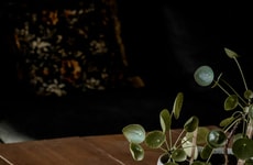 Portable Glass Table Lamps