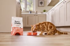 Nourishing Cat Food Ranges