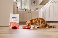 Nourishing Cat Food Ranges Image 1