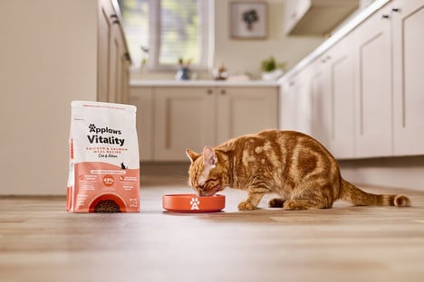 Nourishing Cat Food Ranges