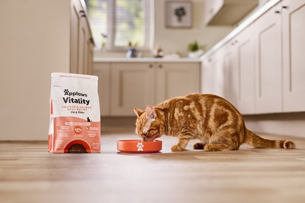 Nourishing Cat Food Ranges