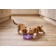 Nourishing Cat Food Ranges Image 3