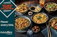 Delicious Asian Noodle Collections