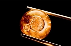 AI Beauty Formulation Platforms