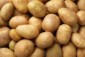 Low-Carbon Potato Concepts Article Thubnail
