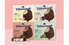 Artisan-Style Ice Cream Bars