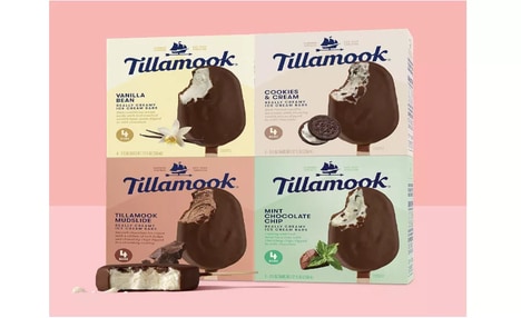 Artisan-Style Ice Cream Bars
