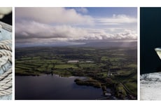 Organic London-Style Gins