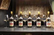 Experimental Wine Projects