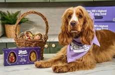 Dog-Friendly Easter Eggs