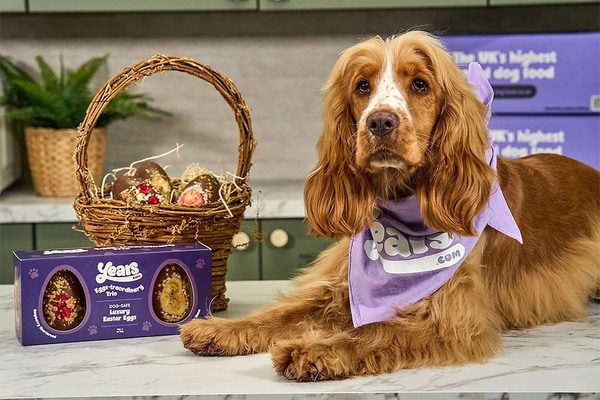 Dog-Friendly Easter Eggs
