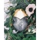 Silky Aquatic Fragrances Image 1